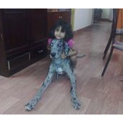 Deepa Rai Shetty's photo