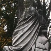 Foto von Sarah Bird