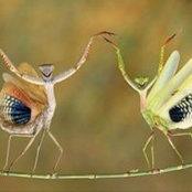 Foto von Tracey Alexander