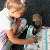 Dixie Gillenwater's photo