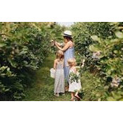 Ashley Blahnik's photo