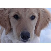 Linda Whitford's photo