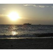 Paige Matthews's photo