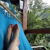 Michelle Ford Haynes's photo