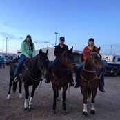 Stephanie Dickenson's photo