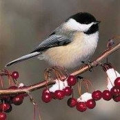 Michaela Landon's photo