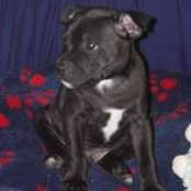 James Gardner's photo