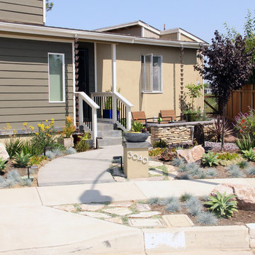 Modern Influenced Front Yard