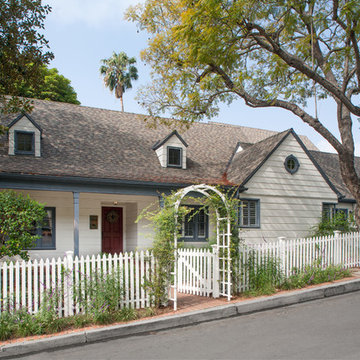 Canyon Oak