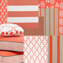 terri_kelly8572100's ideas