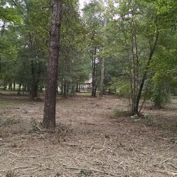 Before and After Mulching