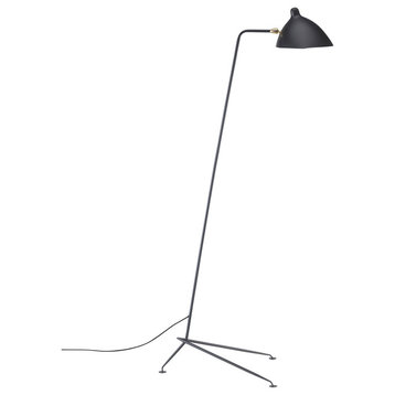 Black Aluminium Shade, Brass Hardware Floor Lamp