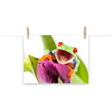 Happy Red Eyed Tree Frog Purple Tulip Flower Wildlife Photo Loose Wall Art Print, 12" X 16"