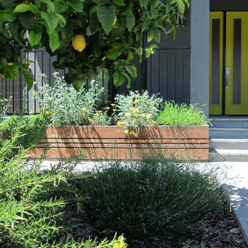 Mountain View, California - Wong Residence