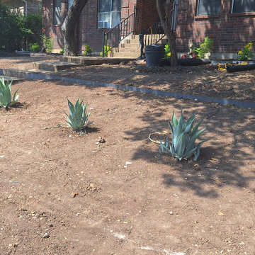 Landscaping Design and Construction
