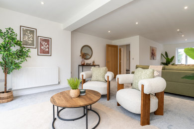 Design ideas for a modern living room in Other.