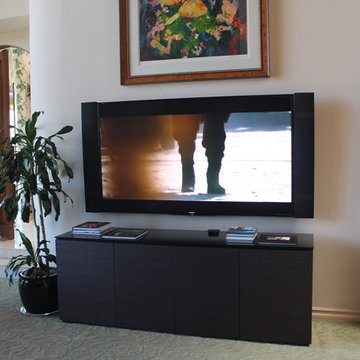 80" Sharp LED, Artison speakers attached to TV and concealed electronics in a BD