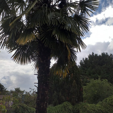 Jardin bucolique