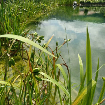 Servicios de mantenimiento