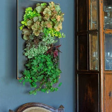 plants inside