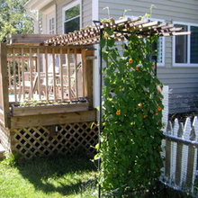 Patio Ideas