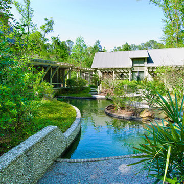 Beech Residence