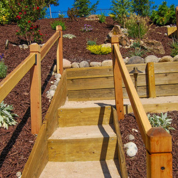 Terraced Backyard