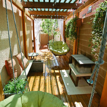 Side Yard Hedge