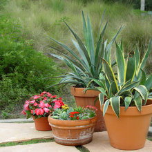 Outdoor spaces