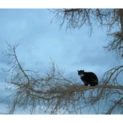 Lello Spallone's photo