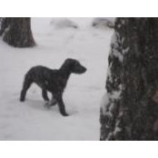 Rosi Hoyer's photo