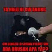 Asri Indra's photo