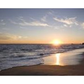 د.سهير منصور's photo