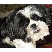 Lisa Milam's photo