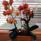 Susan Bragas's photo