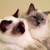 Andrea Blaschek's photo