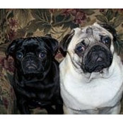 Hollis Phillips's photo