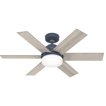 Pacer 2 Light 44" Indoor Ceiling Fan, Indigo Blue