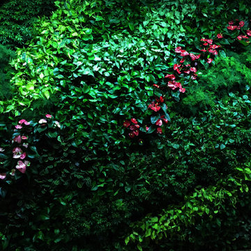 Living Wall