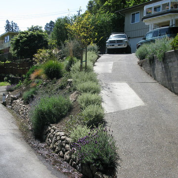 Plant Material