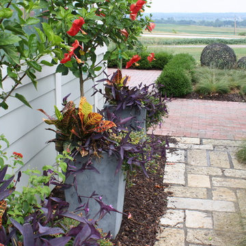 Summer Containers