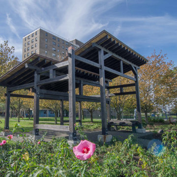 NYC Public Housing Garden