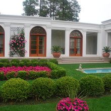Boxwoods