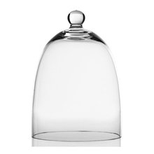 bell dome glass