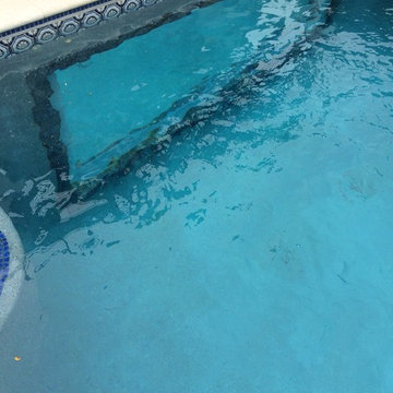 Beverly Hills pool with underwater viewing glass