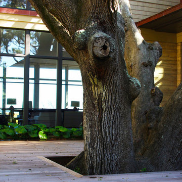 Artist's Marsh Retreat at Kiawah