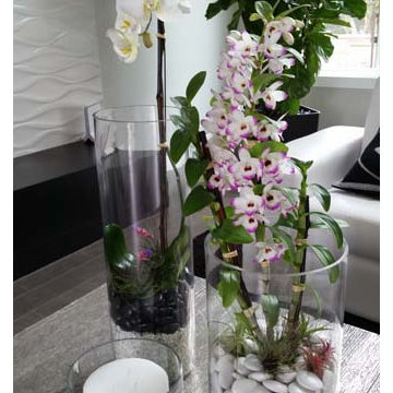 Terrariums