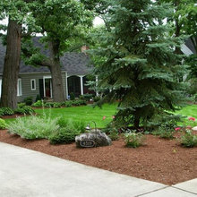 Landscape Design With Evergreen Trees