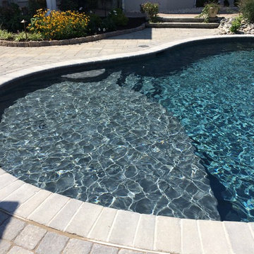 Bethlehem Township pool and spa with waterfall and sunshelf