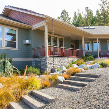 Hillside Plantings + Access Staircase